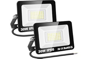 RIGIDON 2 Pcs Outdoor Flood LED Work Light, 3000 Lumens 30W Floodlight, Daylight Cold White Security Lights for Garden Yard Lawn Basketball Football Court Patio Landscape, IP66 Waterproof 6000K