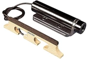 LR BAGGS Banjo by L. R. Baggs