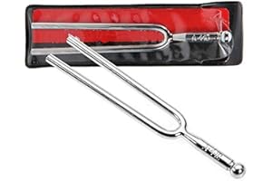 BJ-SHOP Diapasón de Acero Inoxidable Instrumento Afinador de Guitarra para Violín Estándar A 440 Hz con Bolsa de Almacenamiento para Instrumentos Musicales Estándar Dispositivo Afinador para Guitarra Violín
