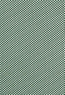 Tenax 72060116 Jolly Filet à Maille Très Fine Plastique Vert