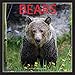 Produktbild Bears - Bären 2018 - 16-Monatskalender: Original BrownTrout/Wyman Publishing-Kalender [Mehrsprachig] [Kalender] (Wall-Kalender)
