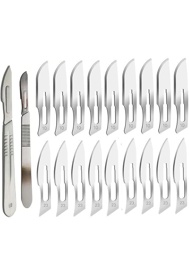 May Skalpell Set – 100 Sterile Klingen (Figur 19) Aus Karbonstahl + Edelstahl-Halter Nr. 4 Für Basteln, Modellbau & Fußpflege