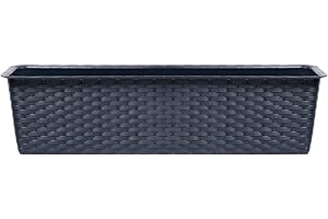 Prosperplast Maceta Ancha Rectangular, de Gran Capacidad, 13,5 L Prosperplast Ratolla Case de plástico en Color Antracita, 14,5 (Alto) x 78,3 (Ancho) x 17,3 (Profundo) cms, Mediano