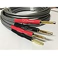 2m Pair of QED XT40i Reference Speaker Cable with X-Tube Technology Terminated with Airloc Banana Plugs (2m Terminated Pair)
