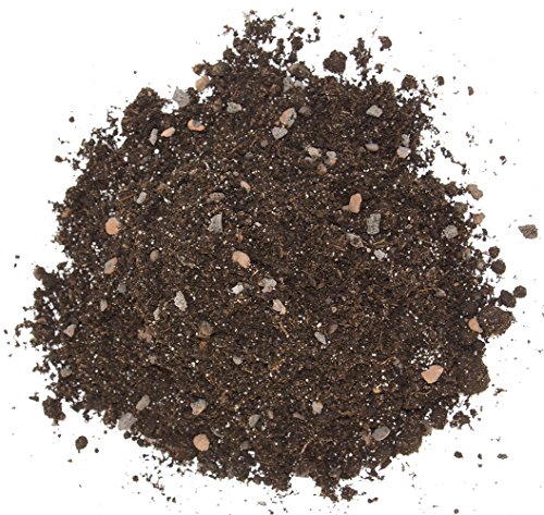 Floragard Kakteenerde 5 L - 3
