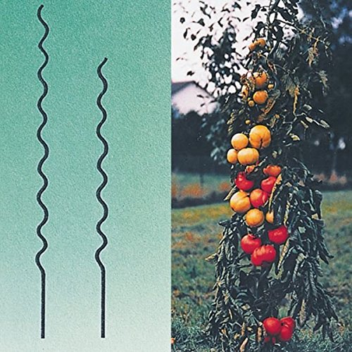 Tomatenspiralstab Größe wählbar verzinkt 10 Stück [110 cm]