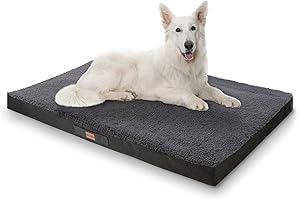 brunolie Balu Hundebett in Dunkelbraun, waschbar, orthopädisch und rutschfest, kuscheliges Hundekissen mit atmungsaktivem Memory-Schaum, Größe XXL (120 x 100 x 10 cm) Grau
