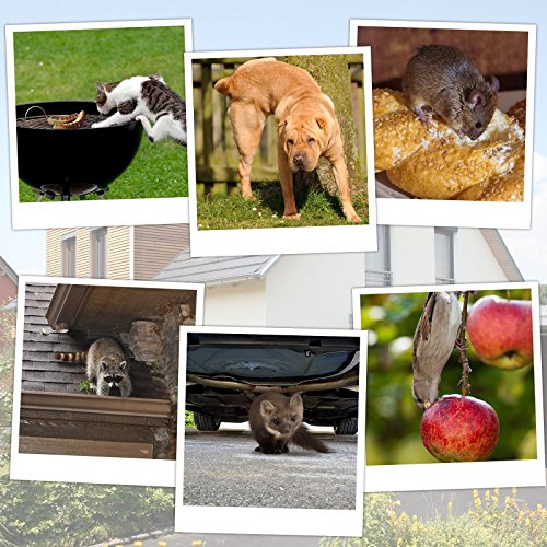 Gardigo Solar Tiervertreiber 2er Set, Hundeschreck, Katzenschreck, Marderschreck, Waschbärvertreiber inkl. Erdspieß - 3