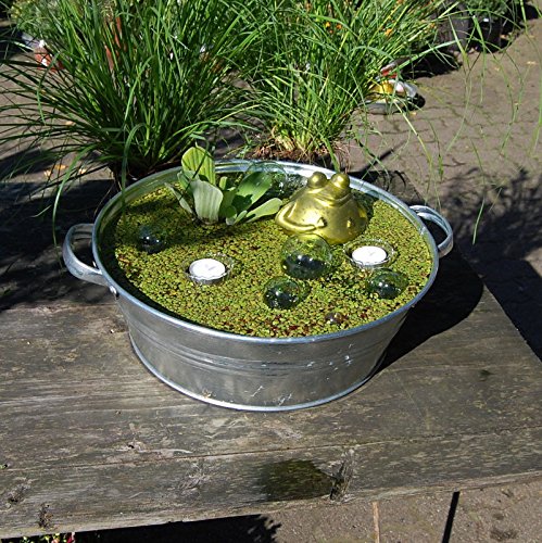 Miniteich mit Zinkwanne Glasschwimmkugeln Teelicht Schwimmfrosch und Wasserpflanzen - 4