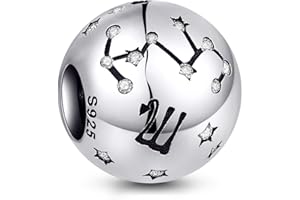 NINGAN Perline costellazioni in argento sterling 925 Fascino di zircone 5A Adatto per il regalo di compleanno della collana del braccialetto delle donne