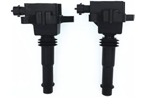 HZTWFC 2 Pack Zündspule OEM # 1220703032 0221504021 für FITPOLARIS MSX110 MSX150 2Cylinder