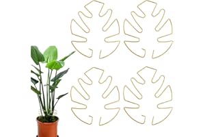 Alfven Supporti per Piante di Monstera, 4 pezzi Supporto per Piante a Forma di Monstera supporto per piante rampicanti per piante in fiore(Oro)