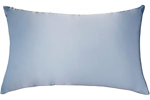 LULUSILK Kissenbezug, 100 % reine Seide, 16 Momme, mit verdecktem Reißverschluss, schont Haut und Haare, 1 Stück 40 x 60 cm hellblau