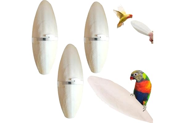 Os de Seiche Oiseaux,Os Seiche,Os de Seiche pour Tortue,Os de Seiche Perroquet,Os de Seiche Naturelle,Os de Seiche Jouets à Mâcher,avec 3 Supports en Métal et 1 Boîte en Plastique,11-13cm,3PCS