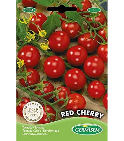 Cherokee Purple - Graines De Tomates - Tomate Heirloom - 25+ Graines