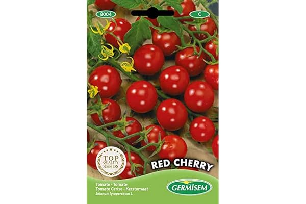 Germisem graines Tomate cerise RED CHERRY