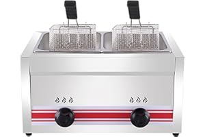 CGLYYDS Friteuse à gaz Professionnelle GPL, friteuse Commerciale en Acier Inoxydable avec paniers et couvercles de friteuse, pour la Cuisine à Domicile de Restaurant Commercial,DoubleCylinder10L+10L