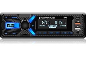 RDS Autoradio Bluetooth avec Port de Charge Type-C, Wistrue FM/AM Autoradio prenant en Charge 2 Ports USB/AUX/SD/TF/EQ, Radio 1 DIN avec Lecteur Mains Libres Bluetooth/MP3