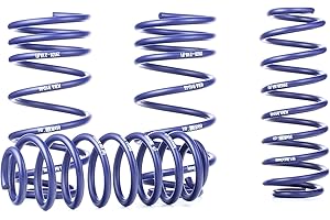 H&R HR 295262 muelles