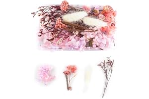 Tomedeks Natural Dried Flowers Dried Embossed DIY Preserved Flowers Resin Jewelry Nails Crafts Scrapbooking Floral Decor (H)