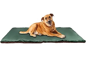 vitazoo Thermal Dog Blanket - 100 x 70 cm - Non Slip Fluffy Soft Pet Bed - Machine Washable Padded Mat for Dogs - Green
