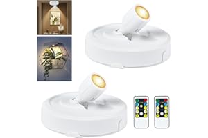 RAHAN 2 Stück Batteriebetriebener LED-Scheinwerfer, Bild-Spot-Lichter mit Fernbedienung, Dimmbar, Timer, Innen-Scheinwerfer, Puck-Lichter, Wand-Anzeigeleuchten für Gemälde, Kunstwerk