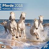 Pferde 30x30 2018 by 