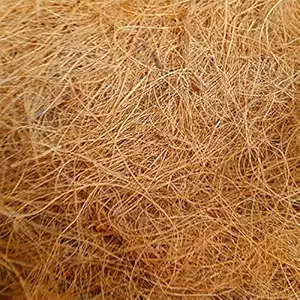 Mats Avenue? Manually Extracted Natural Coir Fiber Nesting Material for Birds for Making Nest, Laying Eggs Breeding as Natural Bed, Playing Toy and Many More 250 Grams