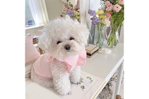 JHIALG Vestido para perro Pomeranian Bichon Frize Caniche Schnauzer Suministros de ropa para perros delgados Perro Perro Cómodo Pequeño Mascota T2V7 Transpirable