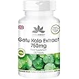 Gotu Kola 750mg - high-dose - Vegan - 120 Tablets - with zinc | HERBADIREKT by Warnke Vitalstoffe - German Pharmacy Quality