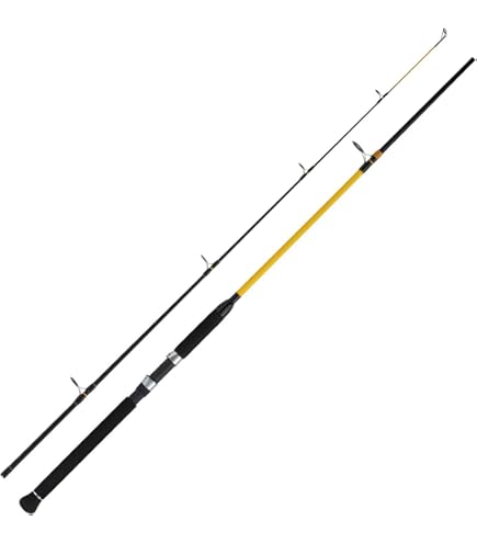 WFT Never Crack Big Fish Angelrute 3,00m - 150-700g Wurfgewicht - Für Große Fische