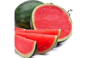 FLOWER FIELD STORY 50Pezzi Cocomero senza Semi Semi Semi Semi di Anguria Succo Dolce Gustoso In Crescita