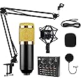HICITI Professional BM800 Condenser Microphone Kit for PC Microphone Studio For Computer Karaoke Sound Card Recording Microphone, Auxiliary