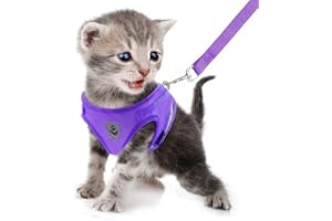 FEimaX Imbracatura e Guinzagli Set per Cani, Pettorina Imbottita a Morbida per Cuccioli e Gatti, Imbracature di Traspiranti Regolabili Riflettenti per Camminare, Corsa, Allenamento