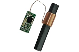 PETSTIBLE Empfängermodul Funkzeitmodul Radio Radio Modul Antenne Funkzeit Modul Dcf77 Empfänger Modul