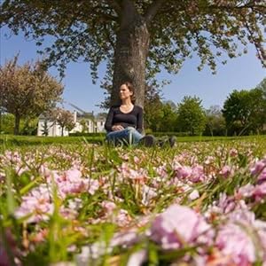 La Famille buissonnière. Découvertes et activités en connexion avec la nature Livre en Ligne La Famille buissonnière. Découvertes et activités en connexion avec la nature Livre en Ligne - Telecharger Ebook