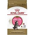 Royal Canin Maine Coon Kitten Food 2kg