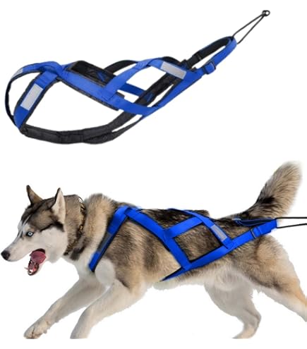 Harnais De Traction Pour Chien - Imperméable, Avec Bandes Réfléchissantes, Pour Cani-VTT, Ski Attelé, Mushing