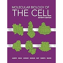 Essential Cell Biology : Alberts, Bruce, Hopkin, Karen, Johnson