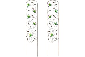 Taylor & Brown 2 Pack Metal Garden Trellis 60 Inch High Garden Obelisk for Climbing Plants Outdoor Decoration Arched Fence Vine Trellis for Patio, Lawn, Yard, Backyard (Hummingbird)