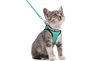 rabbitgoo Harnais Chat avec Laisse, Harnais Chaton Respirant et Bande Réfléchissante Gilet Réglable Vert Clair S Collier Animal Facile à Mettre pour Persan Ragdoll American Shorthair Chiot Lapin