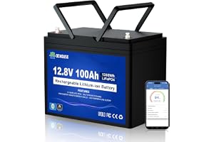 DCHOUSE 12V 100Ah LiFePO4 Bluetooth litiumbatteri, lågtemperaturskydd, grupp 31 litiumbatteri, upp till 15000 cykler, 100A BM