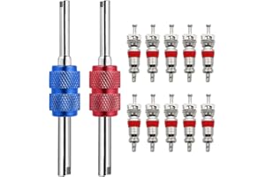 BlueXP 10 Pezzi Valvola Nuclei per Aauto Bicicletta con 2 Pezzi Valve Core Remover per Auto Bicicletta Moto Tyre Repair Tool Set
