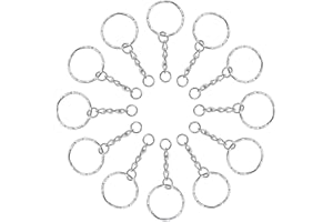 Lictin 60 PCS Porte-clés de 25 mm avec Chaîne, Anneaux de Porte clé en Acier, Attache Porte Clef Homme/Femme pour Bricolage et Décoration de Sacs