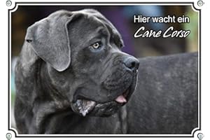 Petsigns Hundeschild Cane Corso - wunderschönes Warnschild - uv-beständig - Italien. Dogge, DIN A4