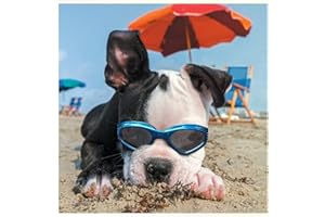 PETLESO Dog Goggles Stylish Pet Sunglasses Anti-Fog Waterproof Windproof Dog Sunglasses Eye Protection Anti-UV Goggles for Small/Medium Dogs - Blue