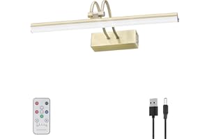 RAIFOOLLY Picture Light, 13in Battery Operated Picture Lights for Paintings,Metal Remote Display Art Light with Timer and Dimmable for Wall Painting,Frame, Portrait, Dartboard(Antique Brass), RF00289