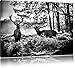 Produktbild Monocrome, Hirsch Rivalen kämpfen , Format: 100x70 auf Leinwand, XXL riesige Bilder fertig gerahmt mit Keilrahmen, Kunstdruck auf Wandbild mit Rahmen, günstiger als Gemälde oder Ölbild, kein Poster oder Plakat
