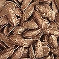 Chocolate Mice 500g Share Bag by The Gourmet Sweet Company