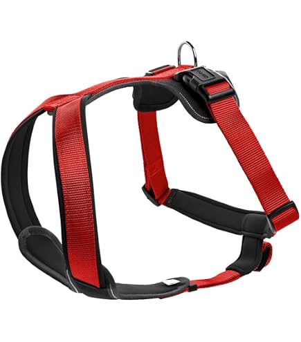 Bobby Safe Hundegeschirr Für Kleine Hunde – Reflektierend, Größe S (Brustumfang 38-50 Cm), Grau